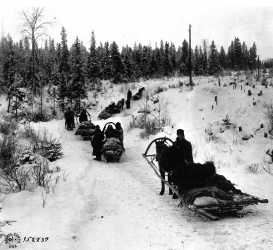 American Troops in North Russia, 1919, during the American military intervention in the Russian Civil War.